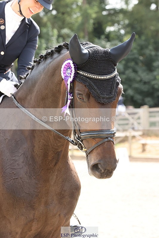 250809A-155410-04661 - Elementary SILVER Presentations