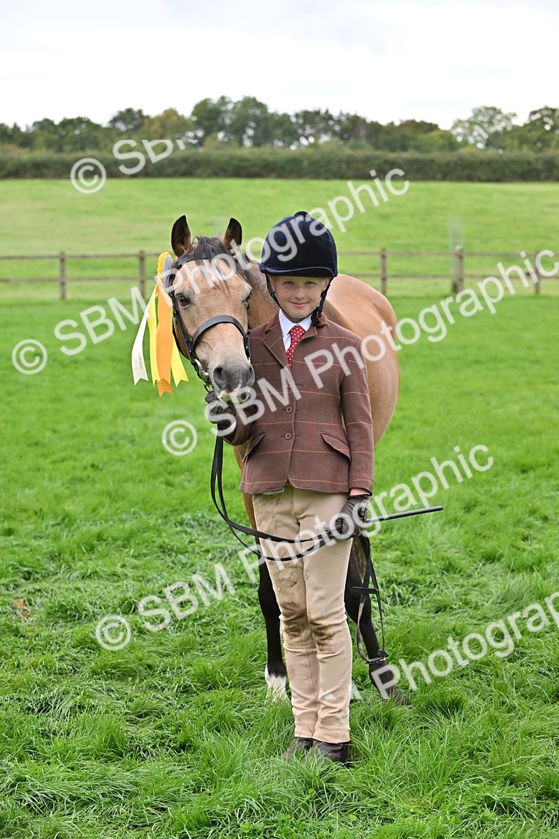 SBM_61091 - S48 - Mountain & Moorland In Hand Small Breeds