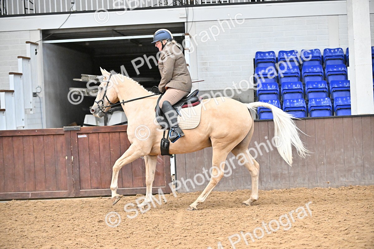 SBM_001474 - Class 19,20 - Ridden Native, Foreign Breeds & Warmbloods