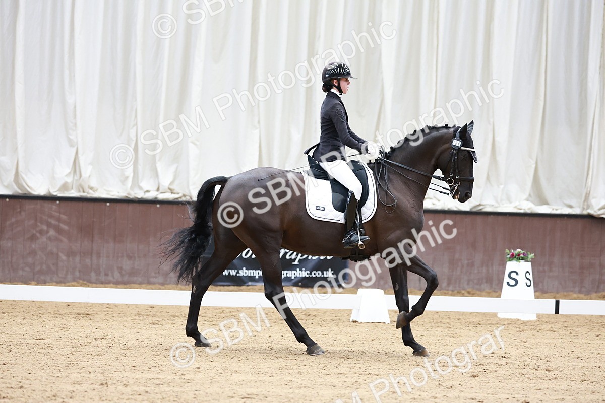 SBM_017762 - Class 15 - FEI Junior