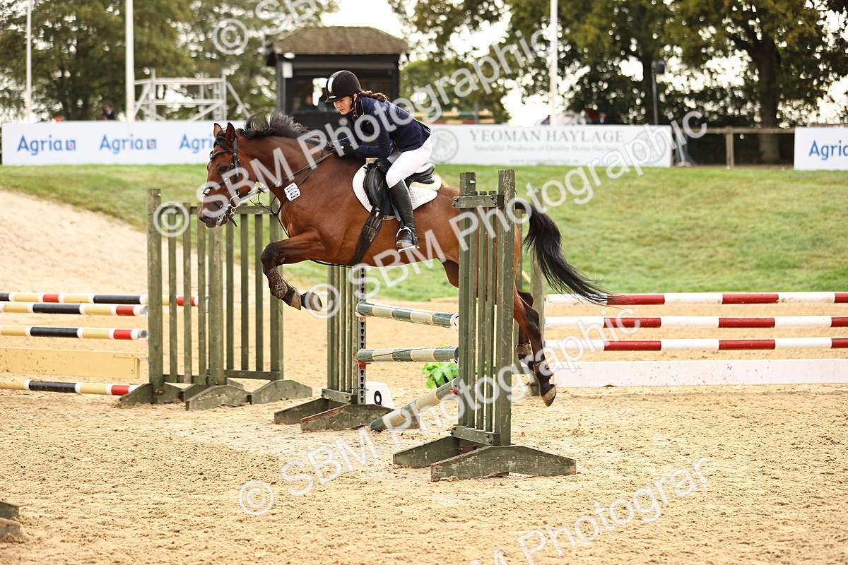 SBM_58200 - J41 - Grand Tour Horse & Pony 95cm