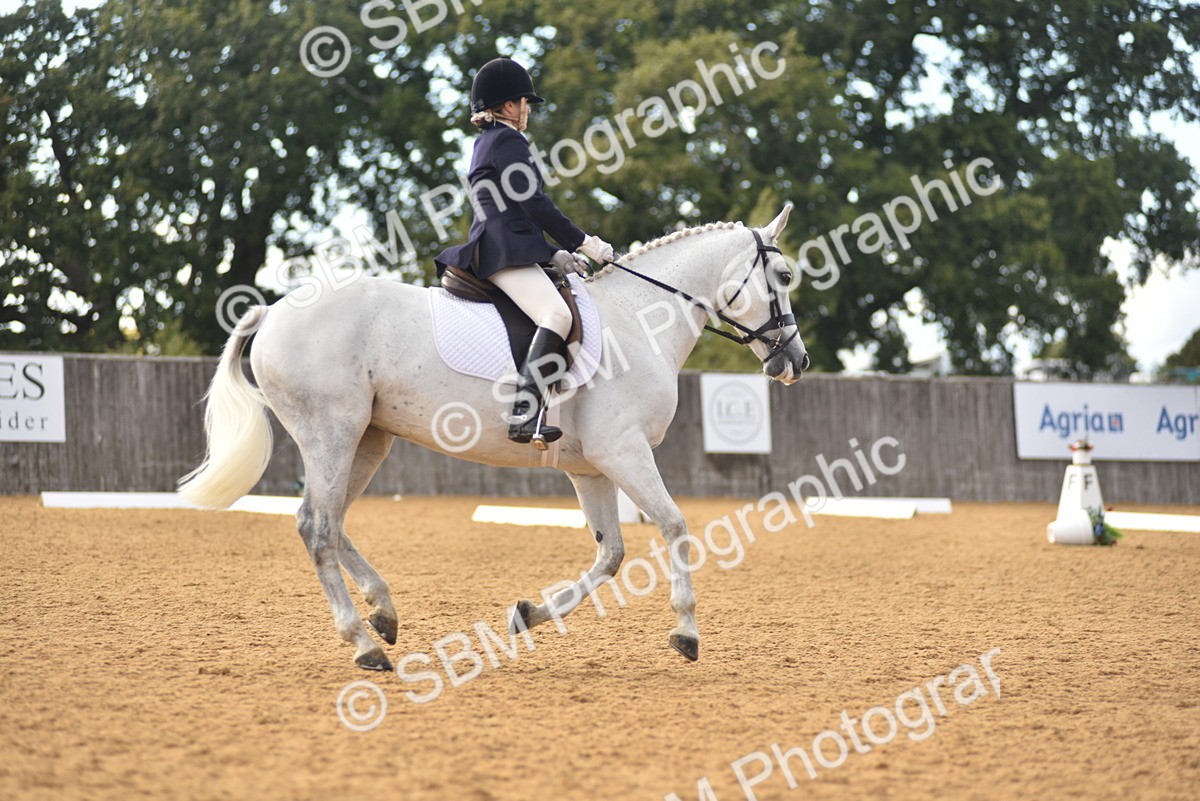 SBM_11378 - D15 - Small Tour Championship Novice 1