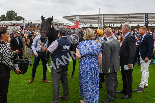 230823-Race 2-Indian Run-0135 - Race 2 2.25pm Tattersalls Acomb Stakes