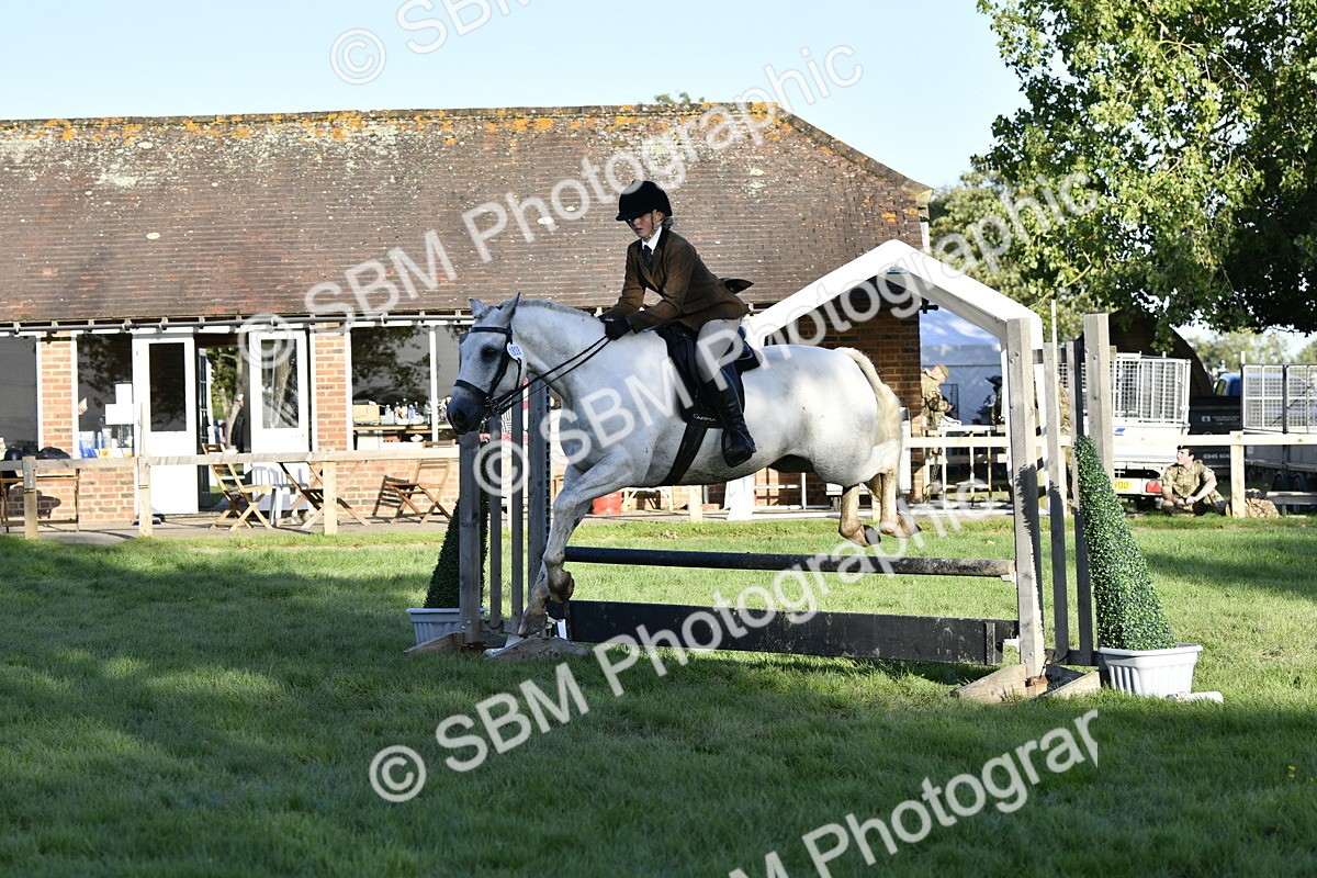 SBM_53540 - S14 - Riding Club Horse