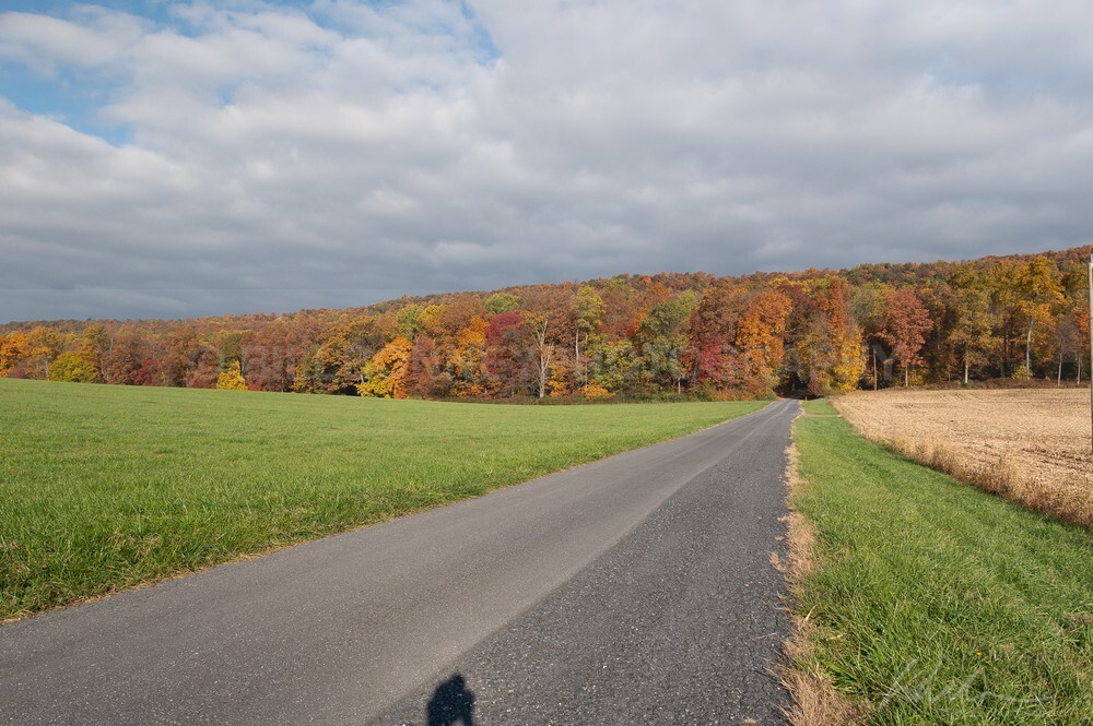 DSC_1959 - Roads