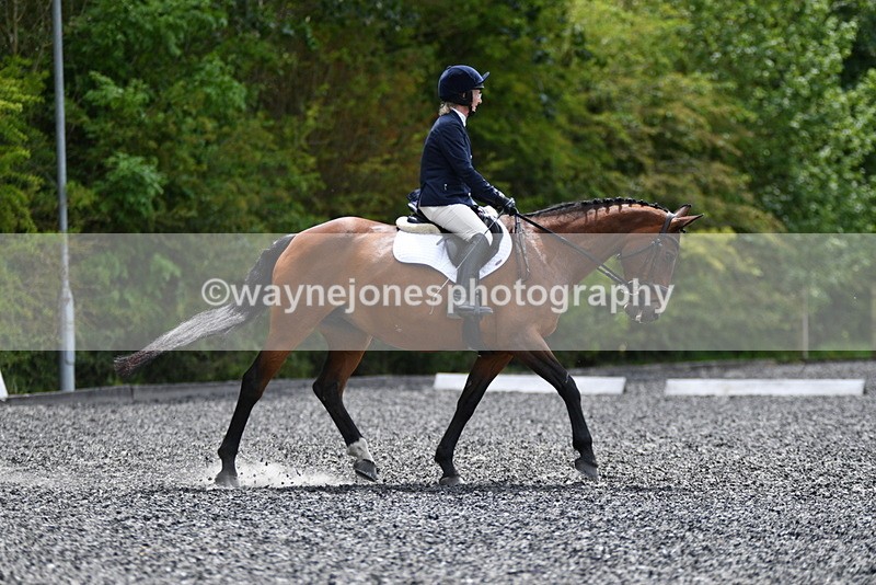 WJ5_0733 - Time 13:04 to 13:42