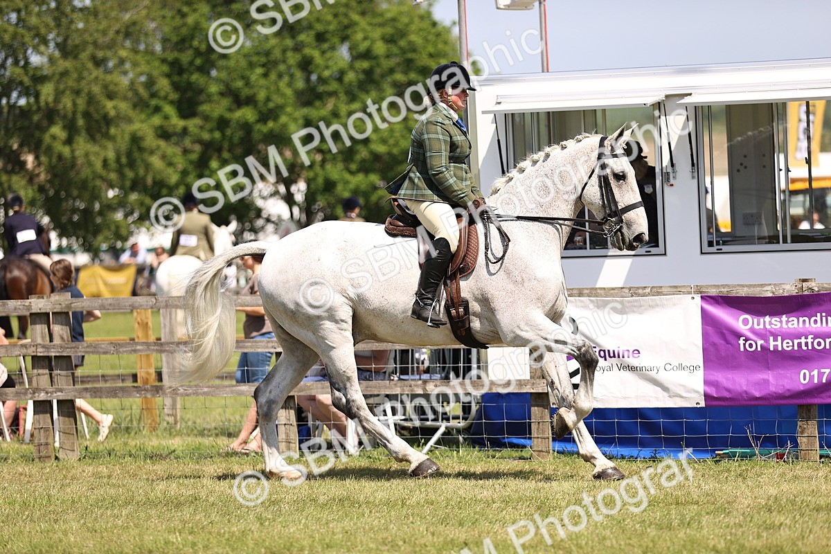 SBM_16099 - Class 79-80 - LIHS BSHA Rising Star Ridden Hunter