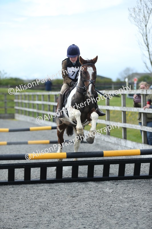 20260412-1725 - Show Jumping