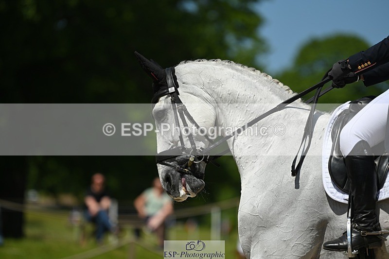 230526-115632-05885 - 472-VENDREDI_BIATS-Kitty_King-DR