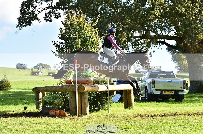 231022-115242-26132 - 261-TATTLER-Eugena.Barker-XC