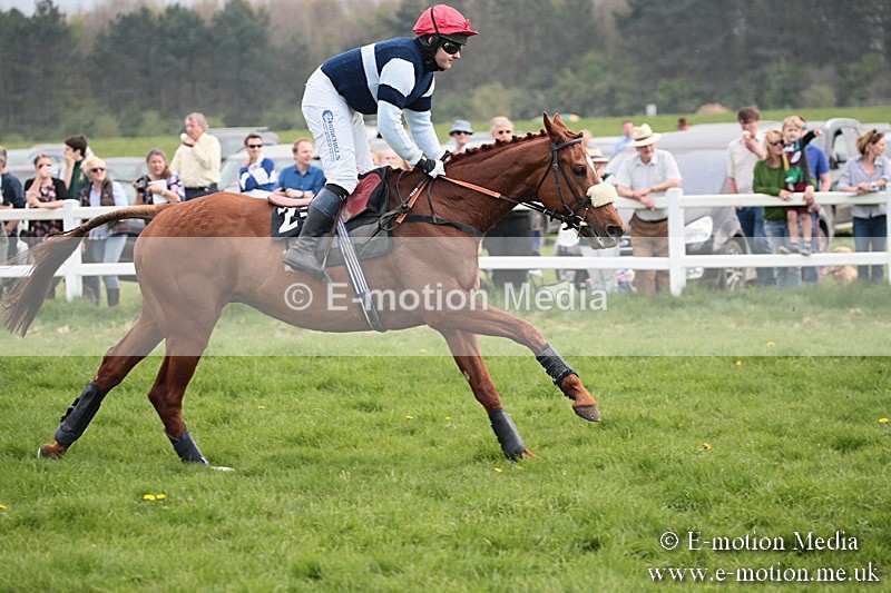 PtP 210418 355 - South & West Wilts Point-to-Point Larkhill 21/04/18