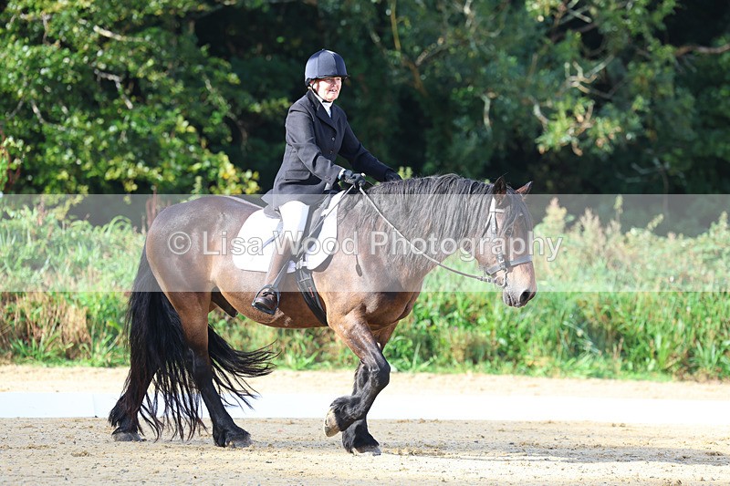 3E7A1870 - Class 1: Intro 4 2024 section A