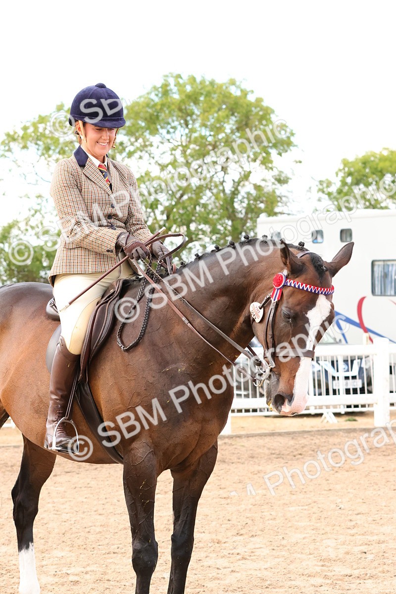 SBM_16258 - Class 217 - Ridden Retired Racehorse