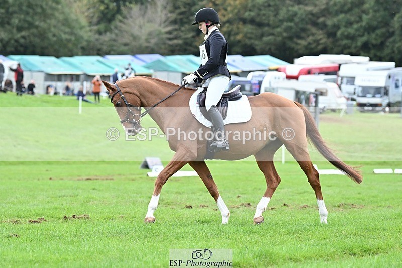 231020-152834-11489 - 686-MOORLAND.MAGIC-Charlotte.Chard-DR