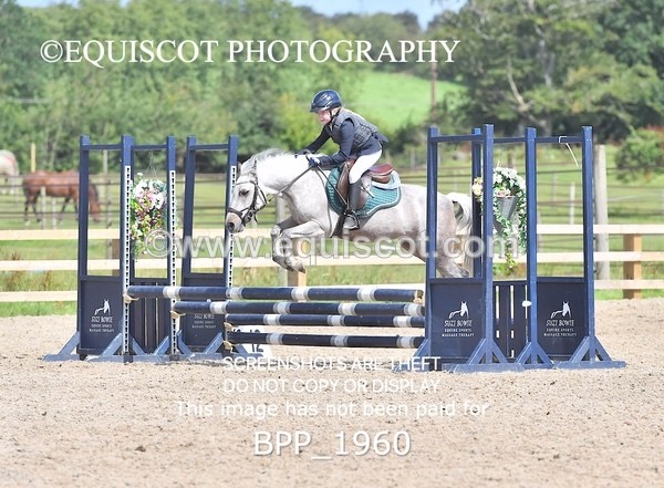 BPP_1960 - DERBY CLASS 5 - 60CM