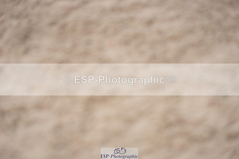 230924A-132234-06137 - 90 SJ Start to 14.00