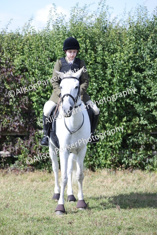 20250831-2509 - Class 16 - Family Pony