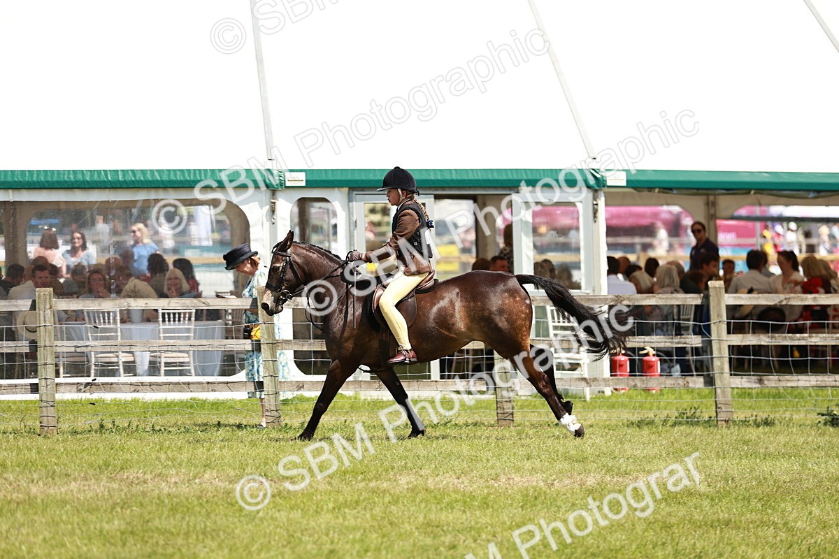 SBM_15804 - Class 108-109 - BSPS LIHS Open Gradle & Nursery Stakes