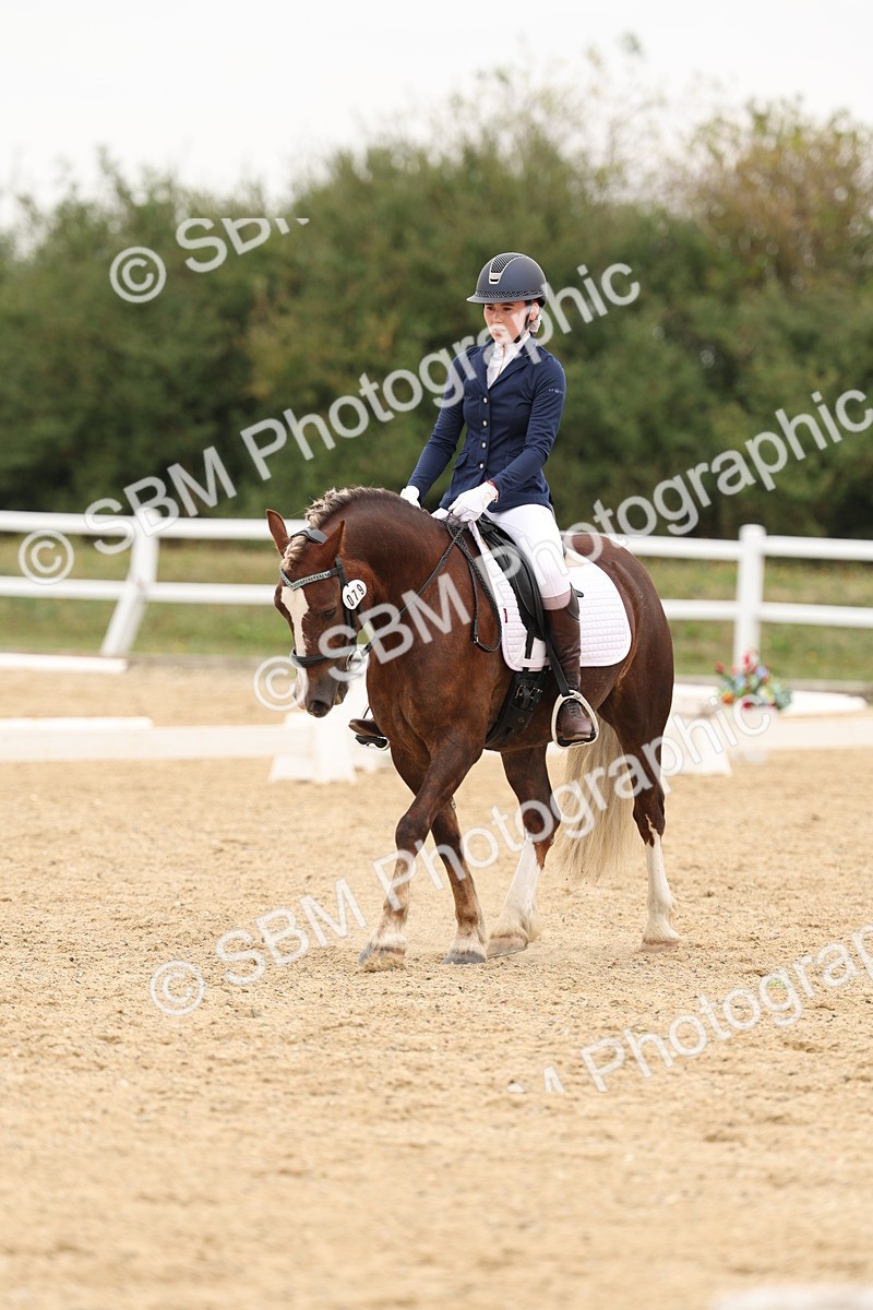 SBM_01062 - Class 8 - Novice 27 Champs