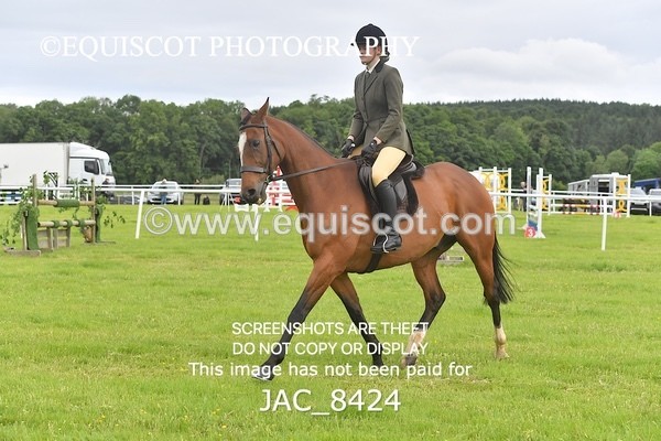 JAC_8424 - CLASS 2 BHS 1.05M SCONE QUALIFIER
