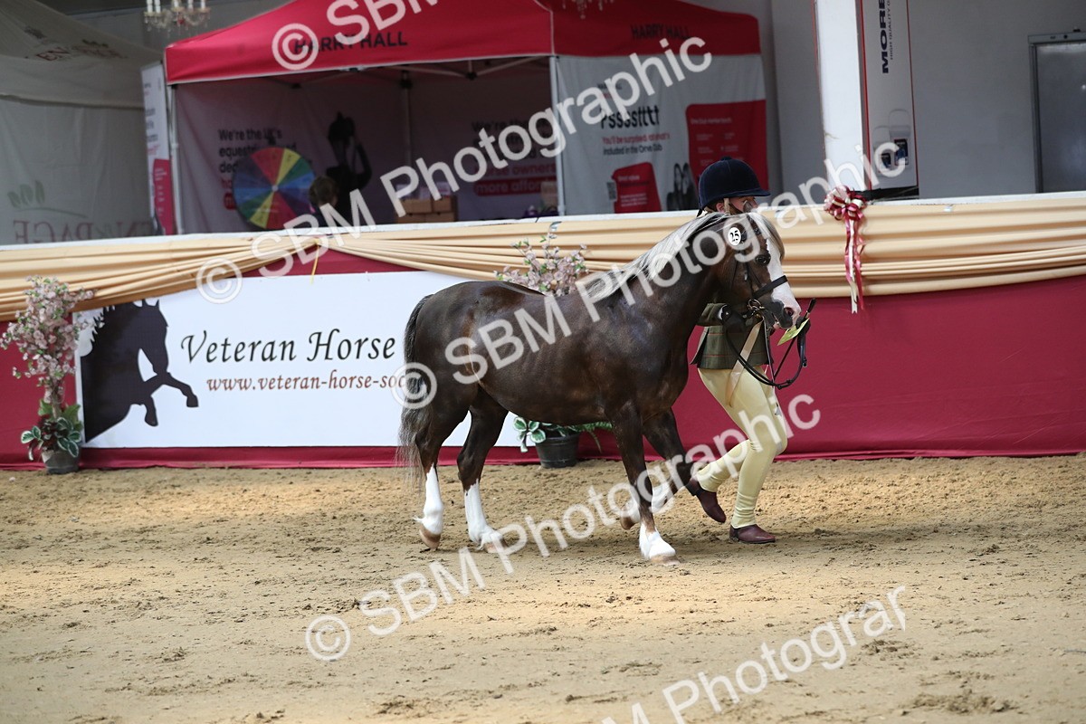 SBM_04495 - Class 7R Regional - IH Diamond