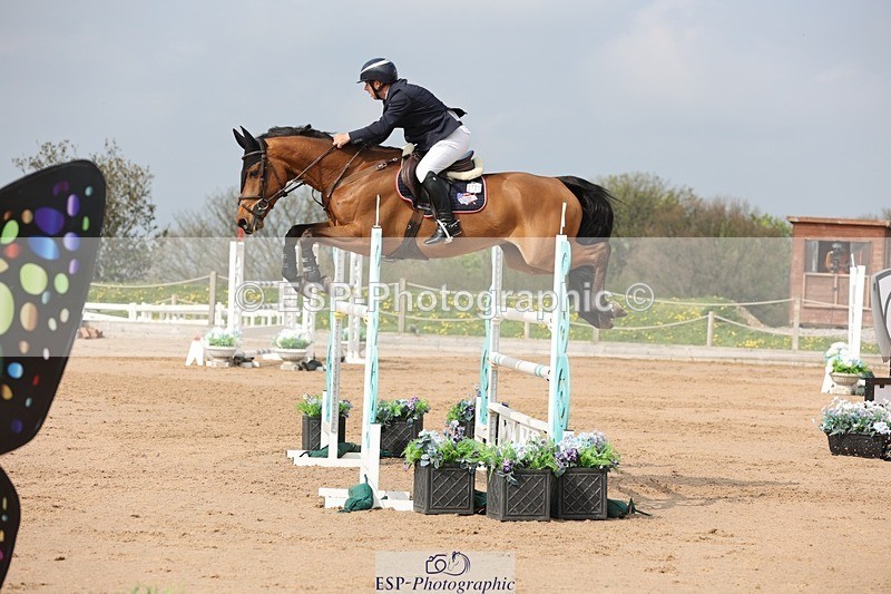 250424-104229-03178 - Cls 33 Young Horse 7yr old