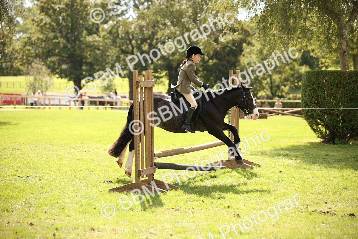 SBM_42281 - S13 - Pony Club Pony