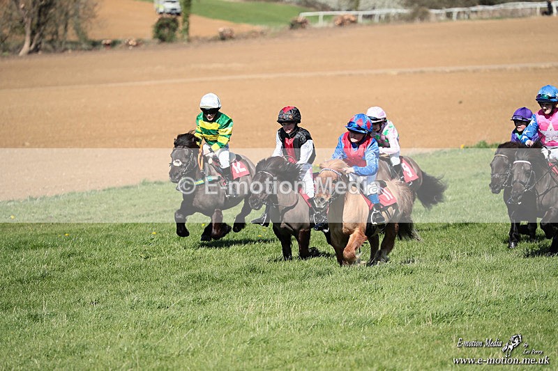 Shet 060426 271 - Shetland Pony Racing Paxford Races Easter Mon 06/04/26