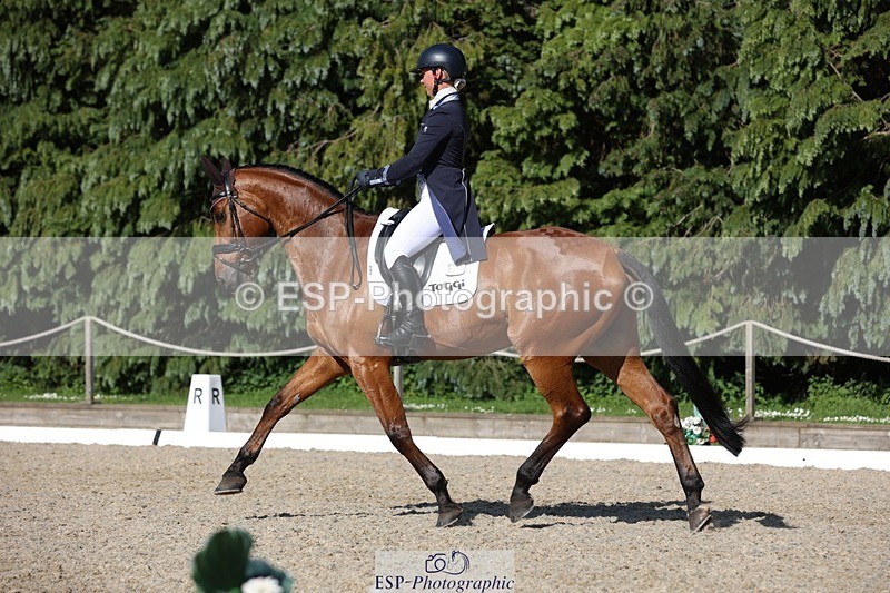 230526-171839-07946 - 177-ARGENTINO_BK-Dani_Evans-WEDTrotUp+DR