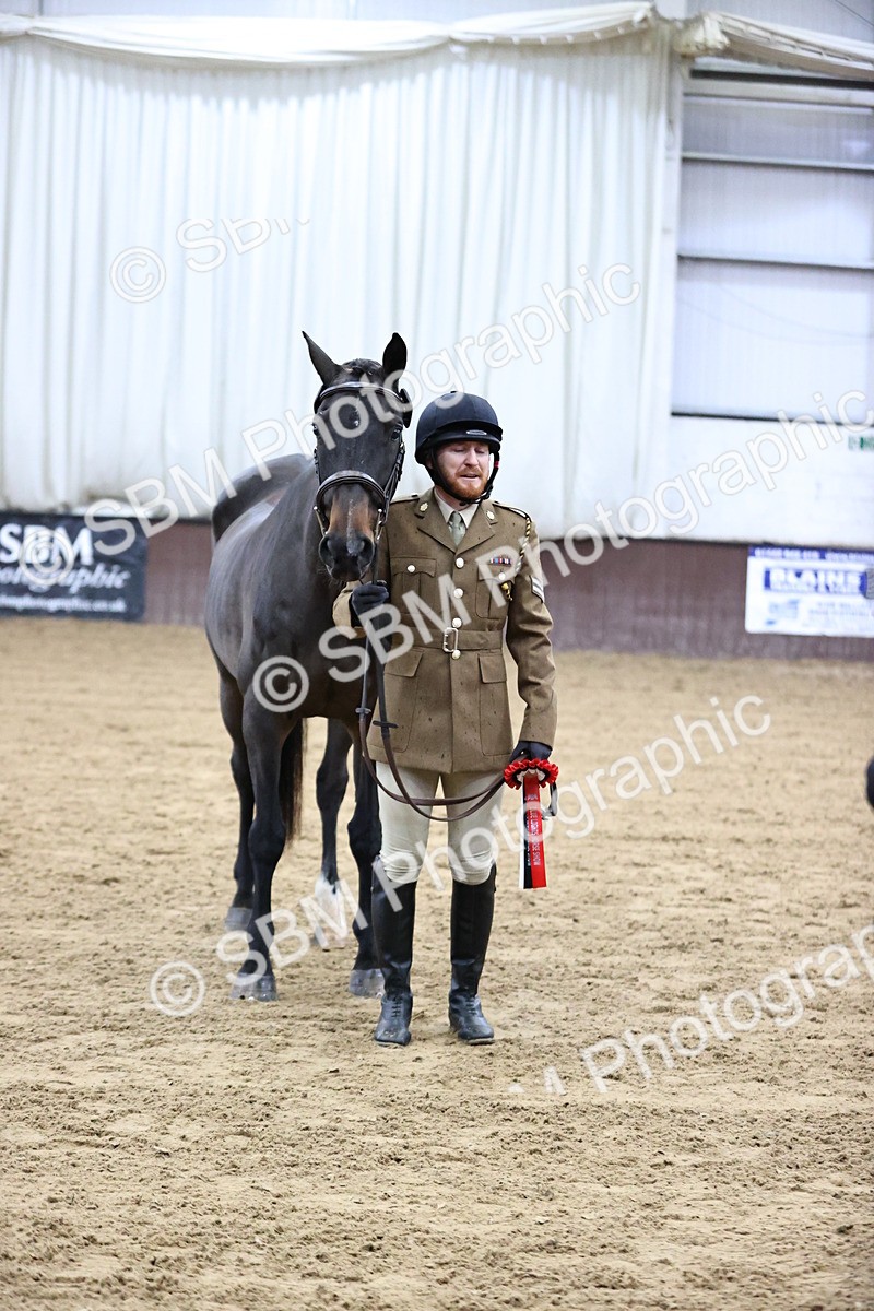 SBM_5216 - Class 39 - In Hand Gelding