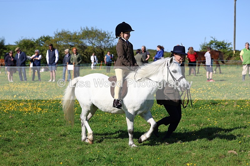 3E7A8815 - Class 2: Lead rein