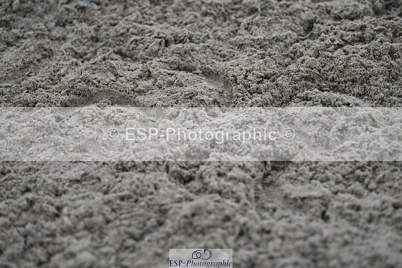 241103A-133225-08289 - SUN Cls 22 Blue Chip Performance Champ Q and Open