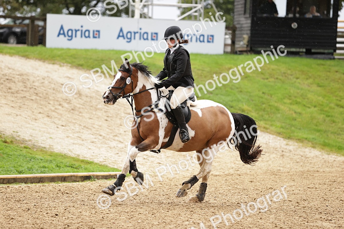 SBM_35784 - J38 - Senior Horse & Pony 80cm Championship