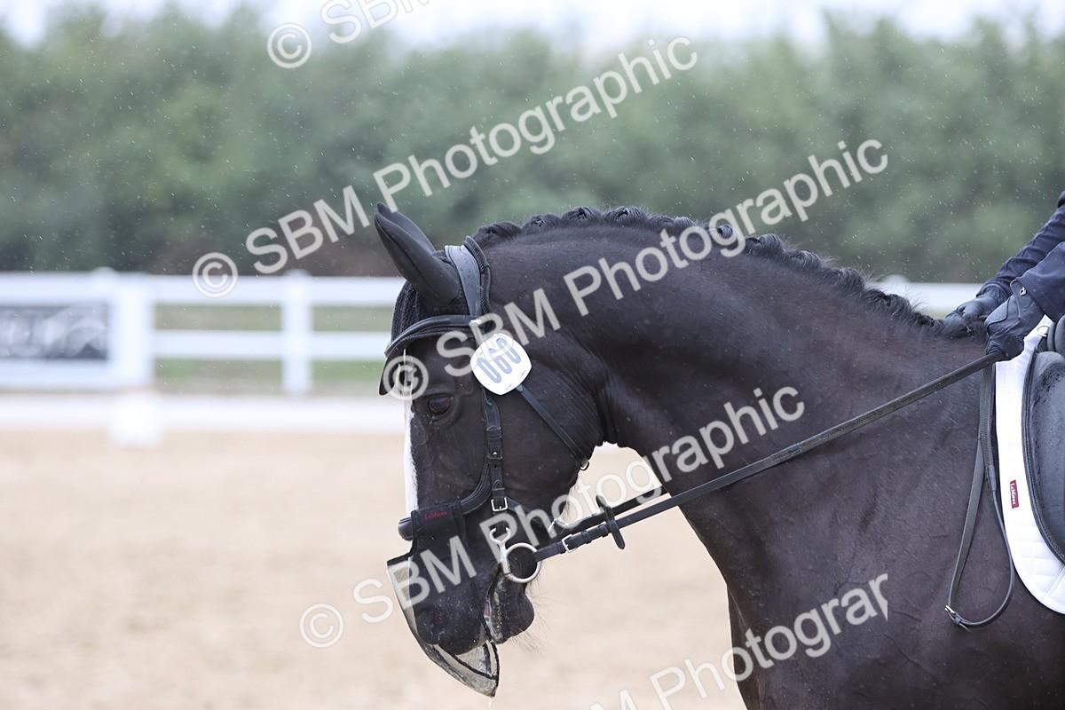 SBM_004395 - Class 9 - Novice 3 Champs