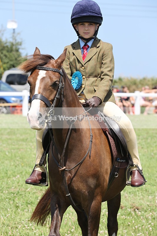JPP_2389 - Class 20: Tiny Tots Working Hunter Pony