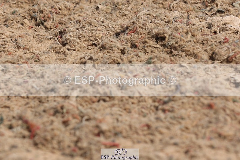 250622-102433-13675 - Cls 45 Prelim 6, 9.50 to End