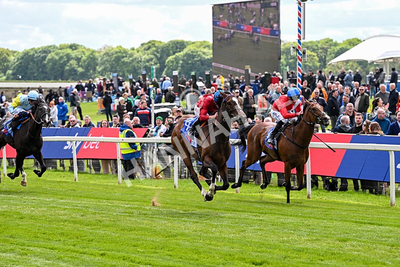 150526-Race 2-Lilt-7201 - Race 2 2.20pm Sky Bet Fillies' Stakes