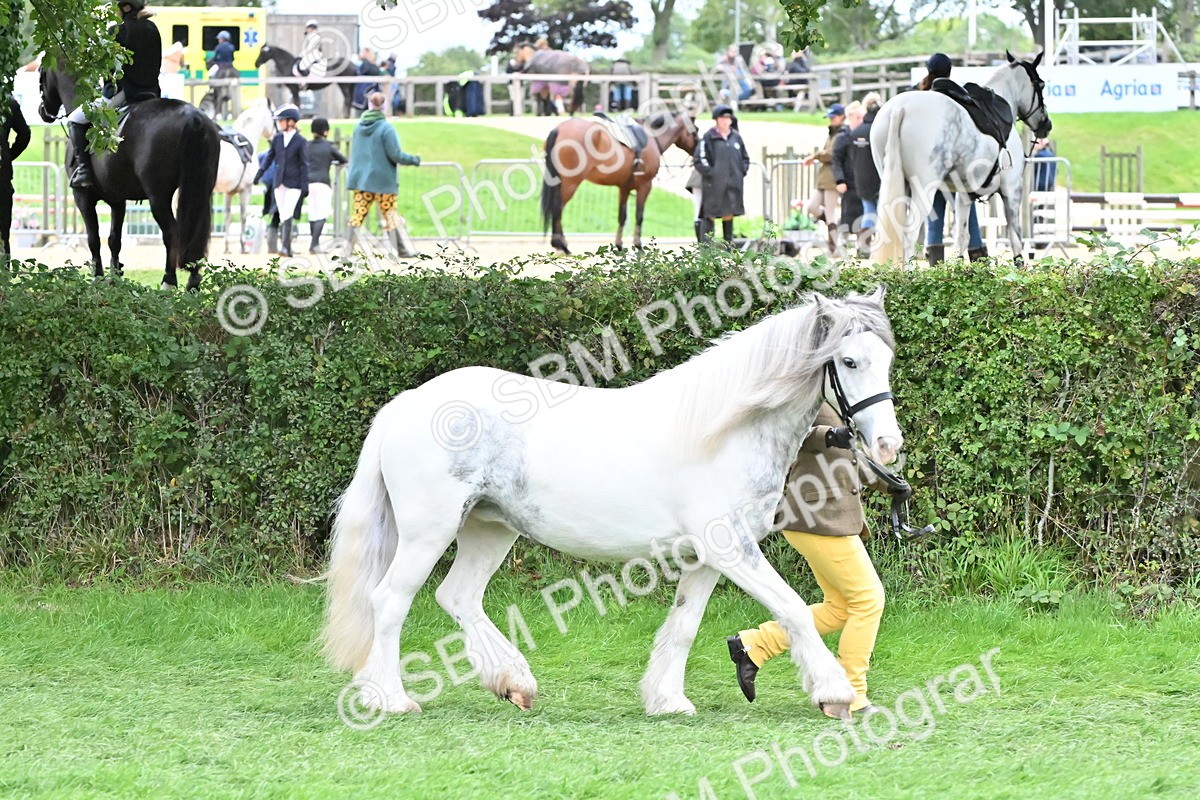 SBM_68567 - S42 - Junior Handler 9-12 Years