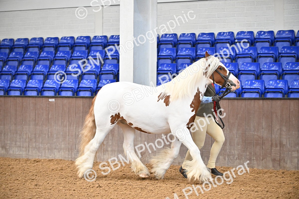 SBM_000057 - Class 1 - In Hand Cob