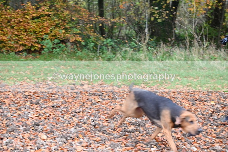 WJ6_8682 - Camera 2