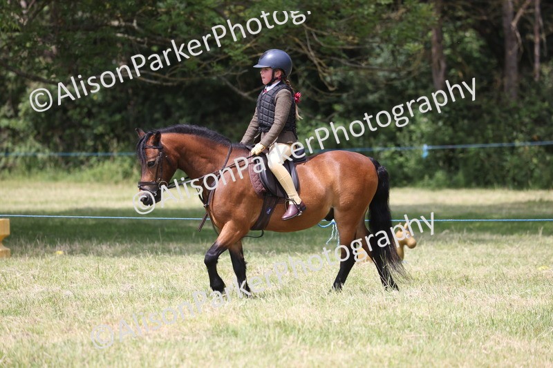 20260614-2133 - Class 21 - Novice Working Hunter Pony