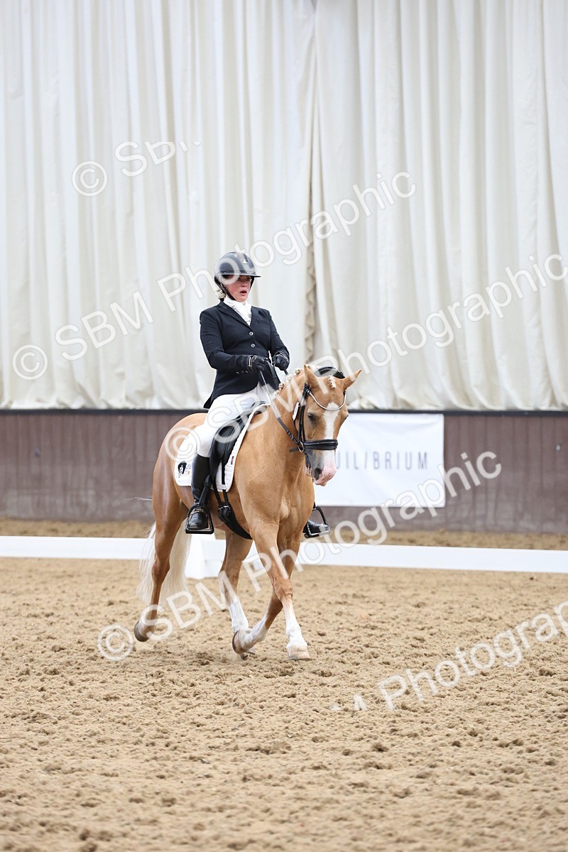 SBM_007559 - Class 23 - Medium FSM Bronze