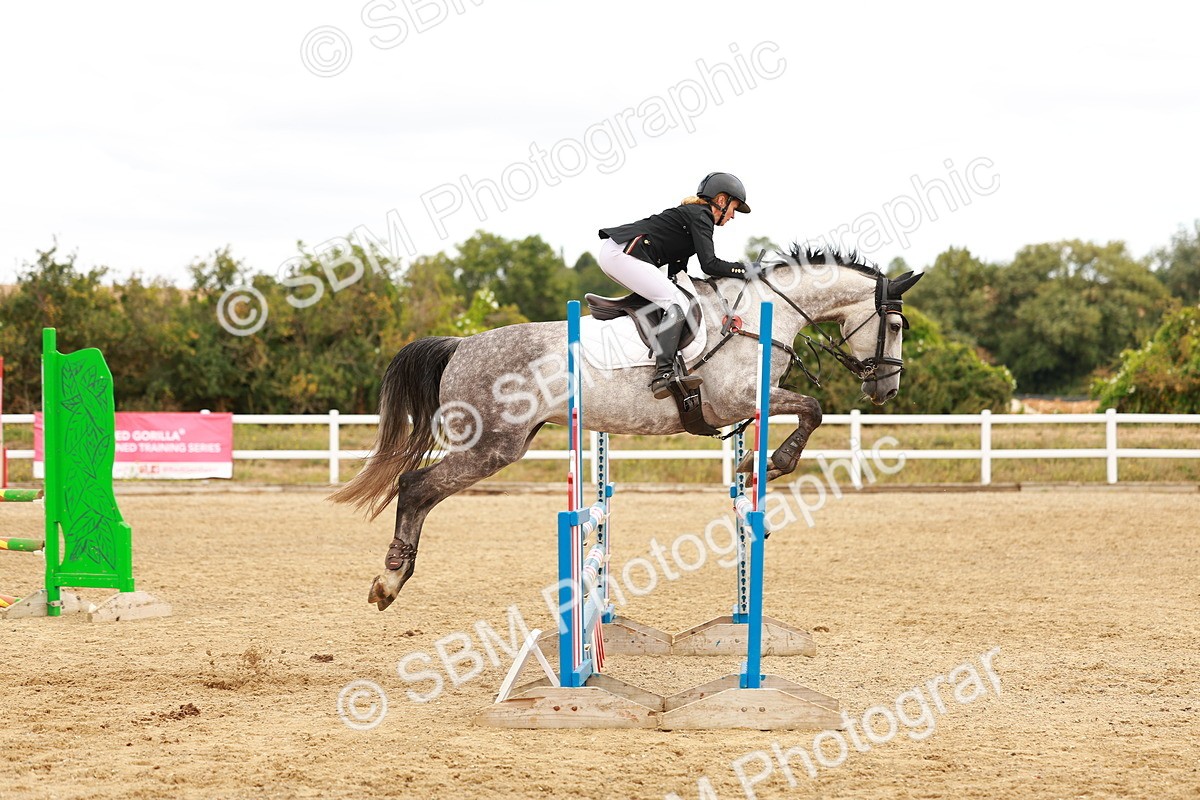 SBM_005558 - Class 2 - Senior British Novice - 90cm