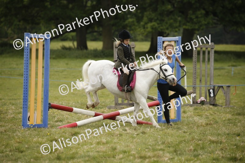 20250517-0151 - Class 1 - 30cm On Lead Rein