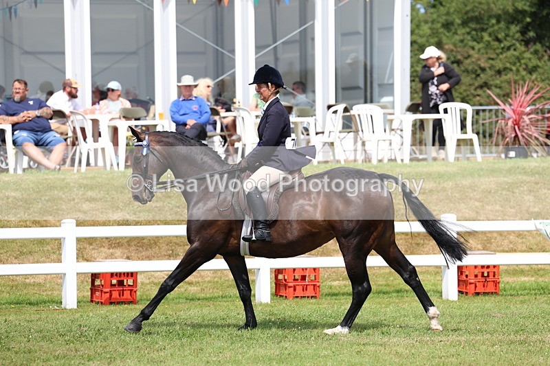 3E7A0552 - Rising Star Ridden Championship