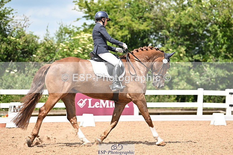 240621A-121919-02092 - Cls 7 BD Elementary 45