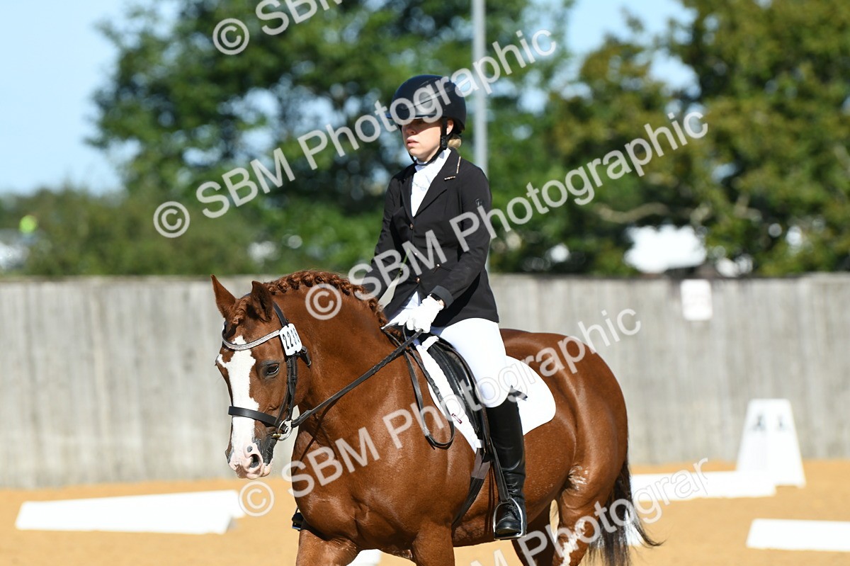 SBM_18021 - D4 - Small Tour Championship - Intro B