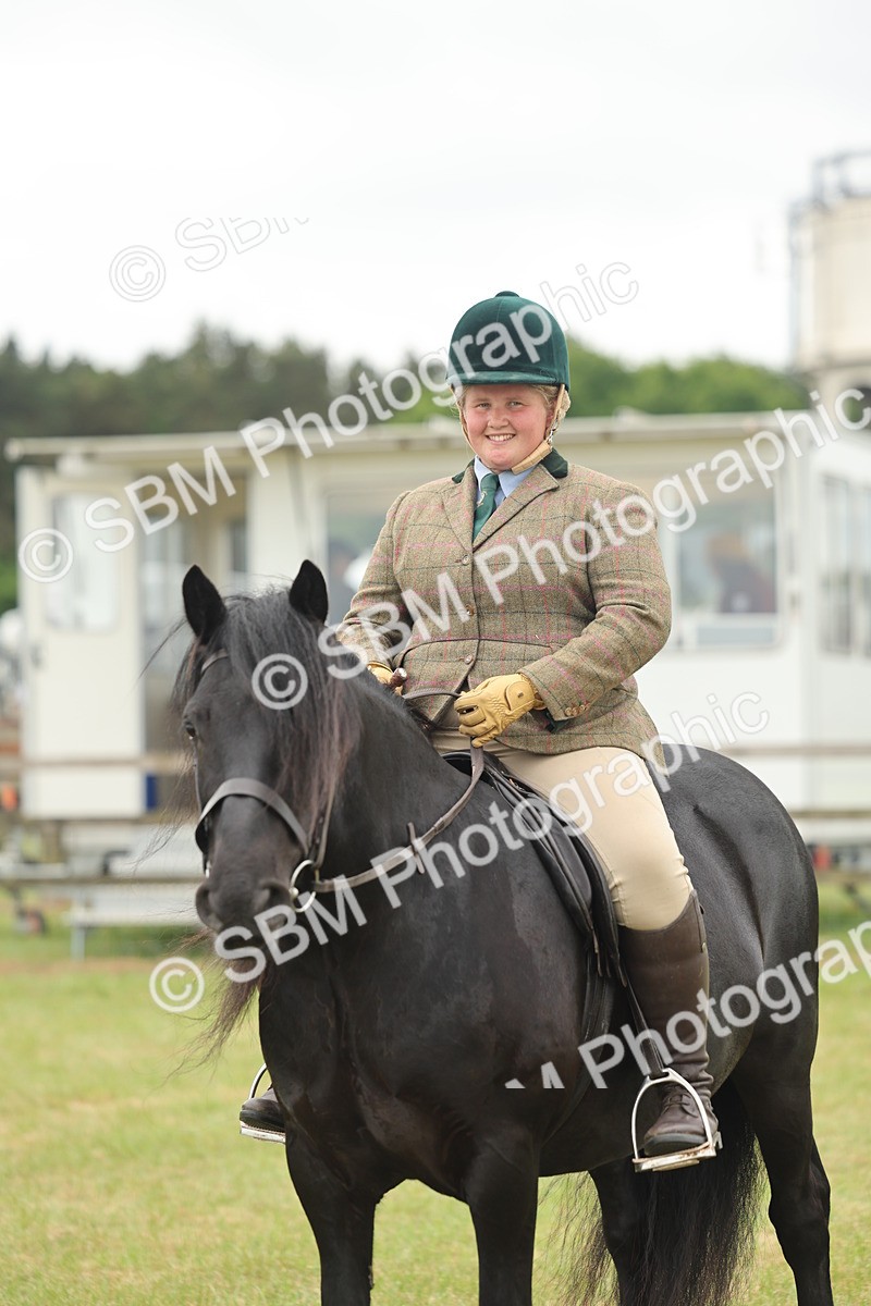 SBM_09025 - Class 78-80 - Ridden M&M Non Welsh Ponies