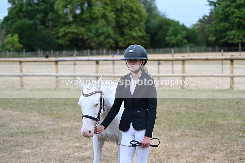 WJ7_8162 - Class 4 Prettiest Mare up to 14.2hh