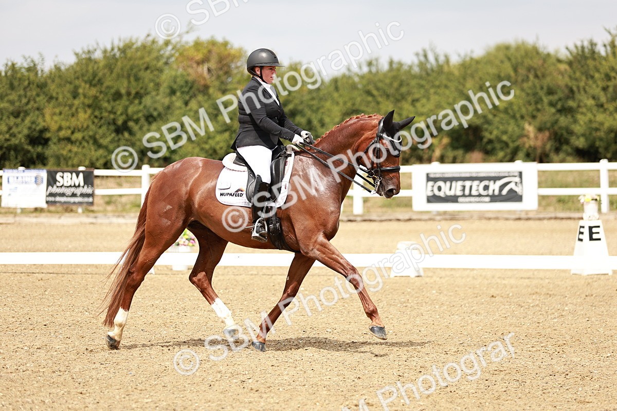 SBM_003594